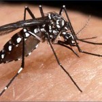 Costa Rica con fuerte brote de dengue