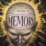 La Nota Curiosa: ¿Cuál es la mejor vitamina para la memoria?